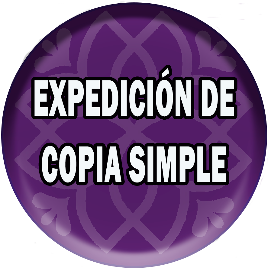 Expedición de Copias simple del libro